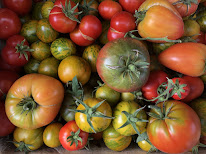 Le verger Gérald Véniat à Les Martres-de-Veyre