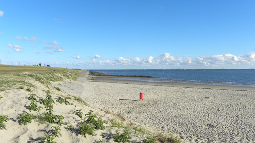 Parking Strand Yerseke - Thumbnail