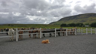 Photos of Laxnes Horse Farm