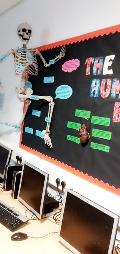 Boldon School - Thumbnail