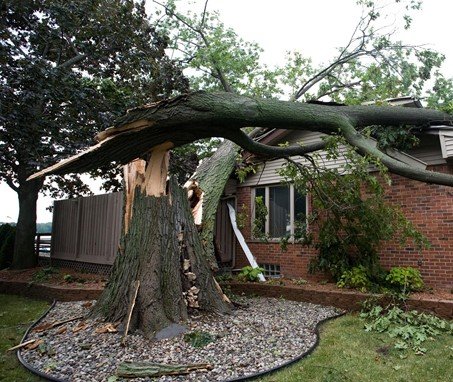 Spartan Recovery Services, Inc. photo