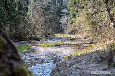 Photos of Viesatas upesloku takas