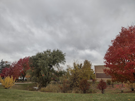 Platt Laundromat Gallery - United States