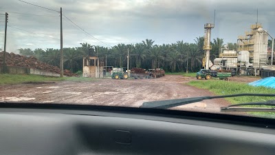 Photos of Agro Industrial Palmasa