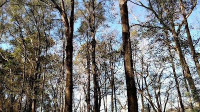 Photos of Riverview Plantation