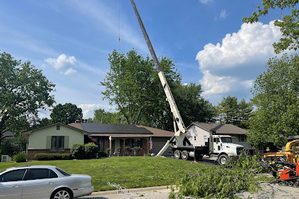 scott's tree service reno