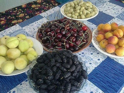 Photos of Choykhona (Tea house)