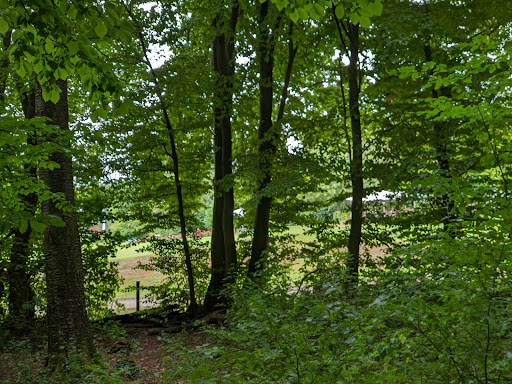 Naturfriedhof Mühltal - Thumbnail