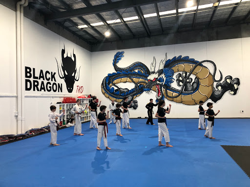 Black Dragon Taekwondo & Fitness