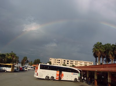 bus-station