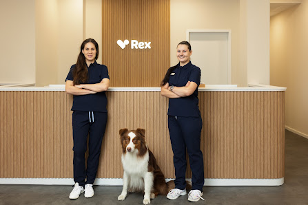 Bild: Rex Tierarztpraxis Hamburg-Winterhude Hund