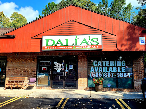 Dalia's - Visual