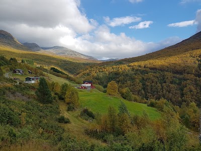 Photos of Bj&oslash;rgo Gard