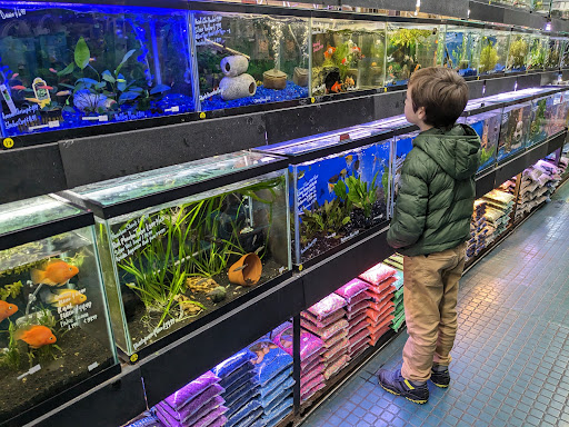 All in 1 Petshop - Thumbnail