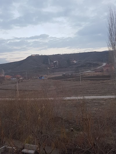 Photos of Galeri Vedat