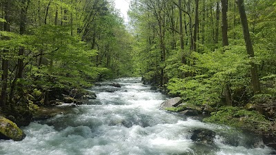 Big Creek Group Camp