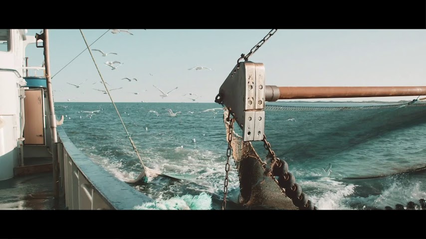 Feriepartner Hvide Sande by null