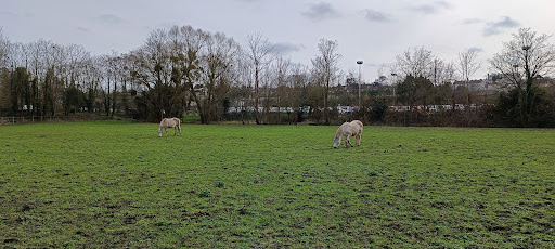 Les Bords de l'Yerres - Thumbnail