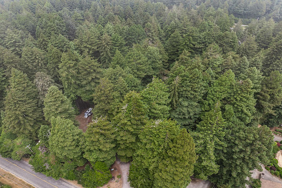 Emerald Forest Cabins & RV by null