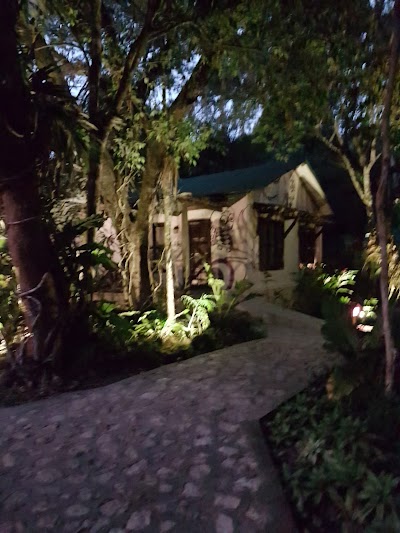 Photos of Jungle Lodge