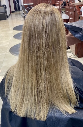 M3 Salon - Thumbnail