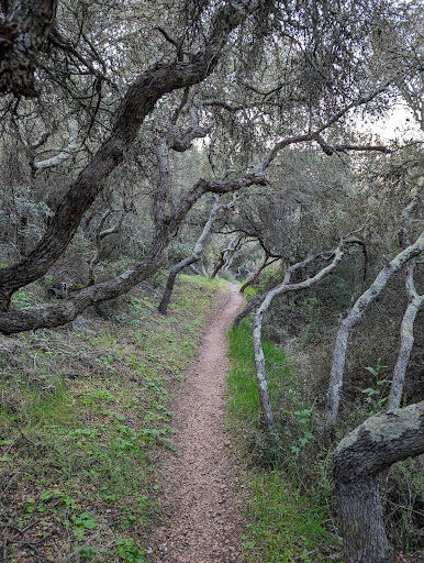 Del Mar Mesa Preserve - Thumbnail
