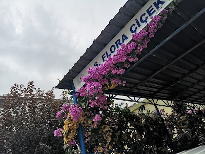 S.S.Flora Ciçekçilik Üretim & Pazarlama Koop.