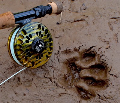 Photos of Buenos Aires Anglers S.A.