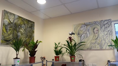 Photos of Flower Shop "My Flower"