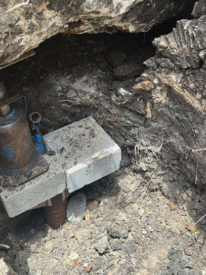 Bats Foundation Repair