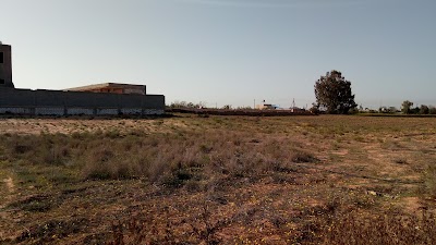 Photos of مزرعة رمضان ابو دربالة