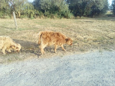 photo of Ferme Auberge l'Ile Sauvage