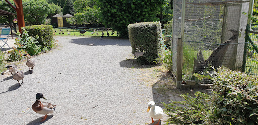 Parc Ornithologique de Bretagne - Thumbnail