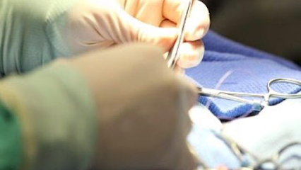 ALBEITAR CLINICA VETERINARIA