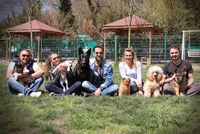 Photos of Topaz Kennels