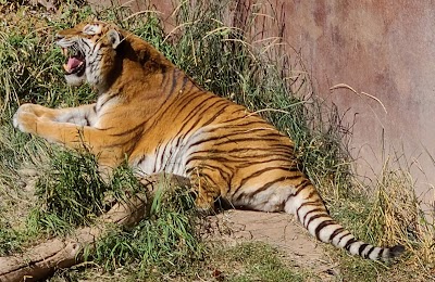 Idaho Falls Zoo at Tautphaus Park