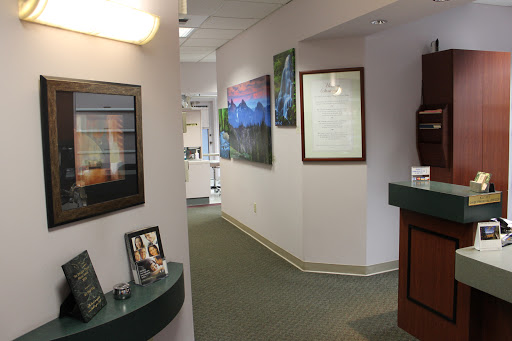Wellness Centered Dentistry - Visual