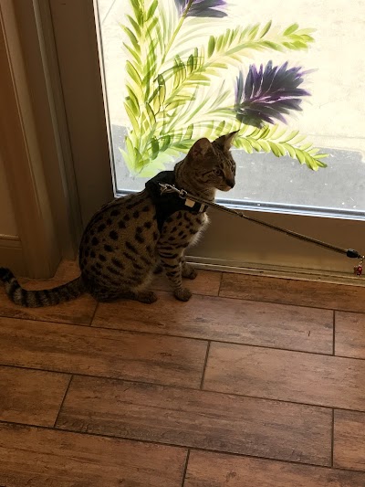 Photos of All Pets Clinic
