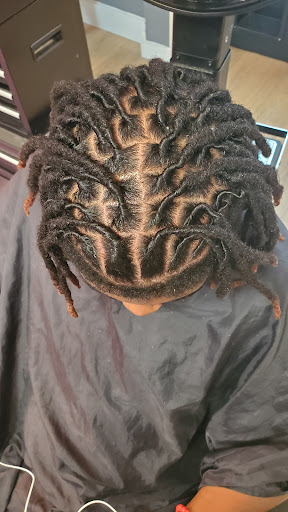 Shady Roots - Visual