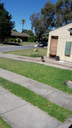 Eastern Parade Reserve - Thumbnail