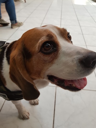 Photos of Integral Veterinary Center