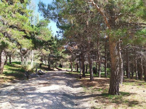 Machucho Park