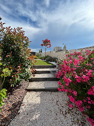 Photo n°17 de Design Paysage à Sauvian (Service d'élagage)