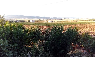 Photos of Adiyaman Training and Research Hospital
