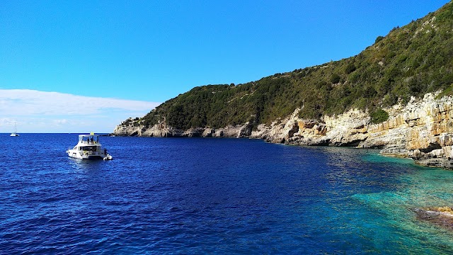 Antipaxos