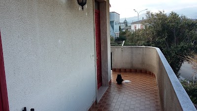 Photos of Hotel Daulia