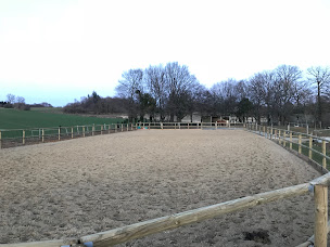 Photo n°22 de Les Ecuries des Colombes à Troche (Pension pour chevaux)
