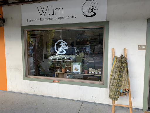 Wüm Essential Elements - Visual