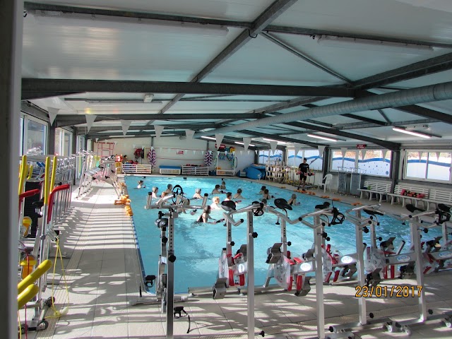 Swim Form