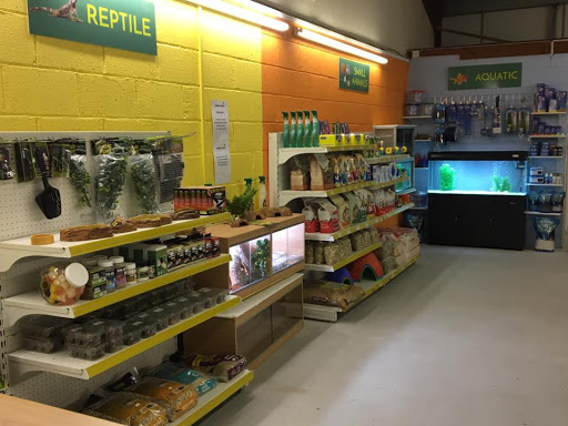 Powys Pets - Visual